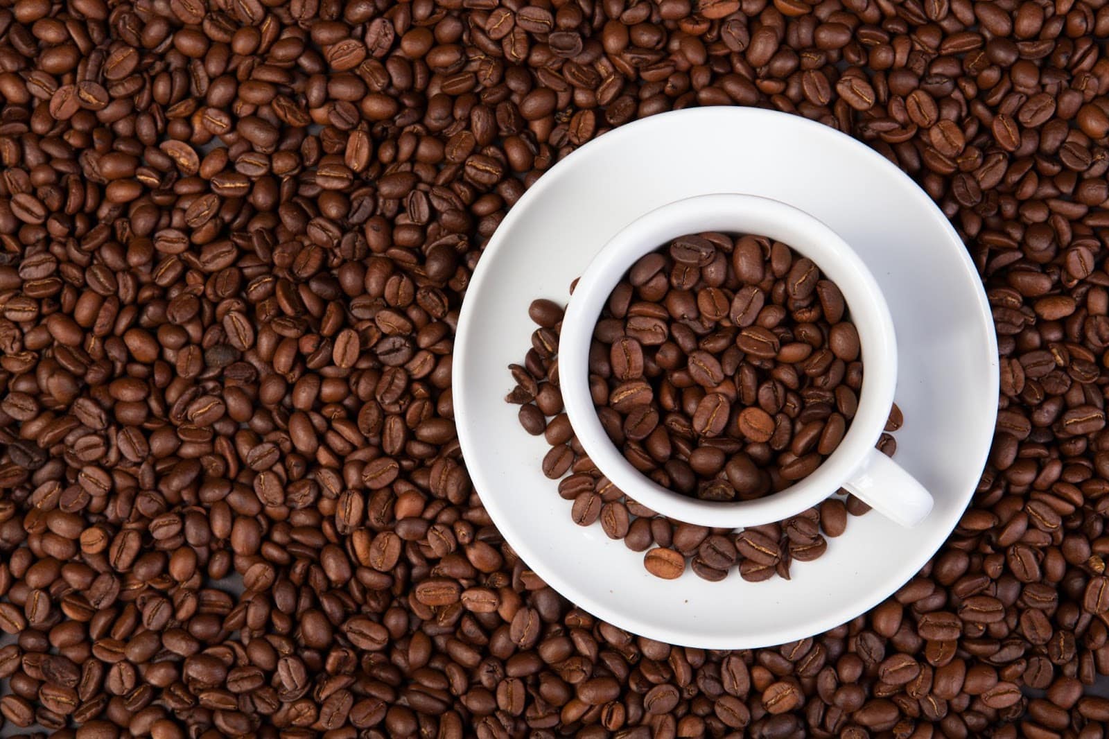 Is a Driftaway Coffee Subscription Worth It?