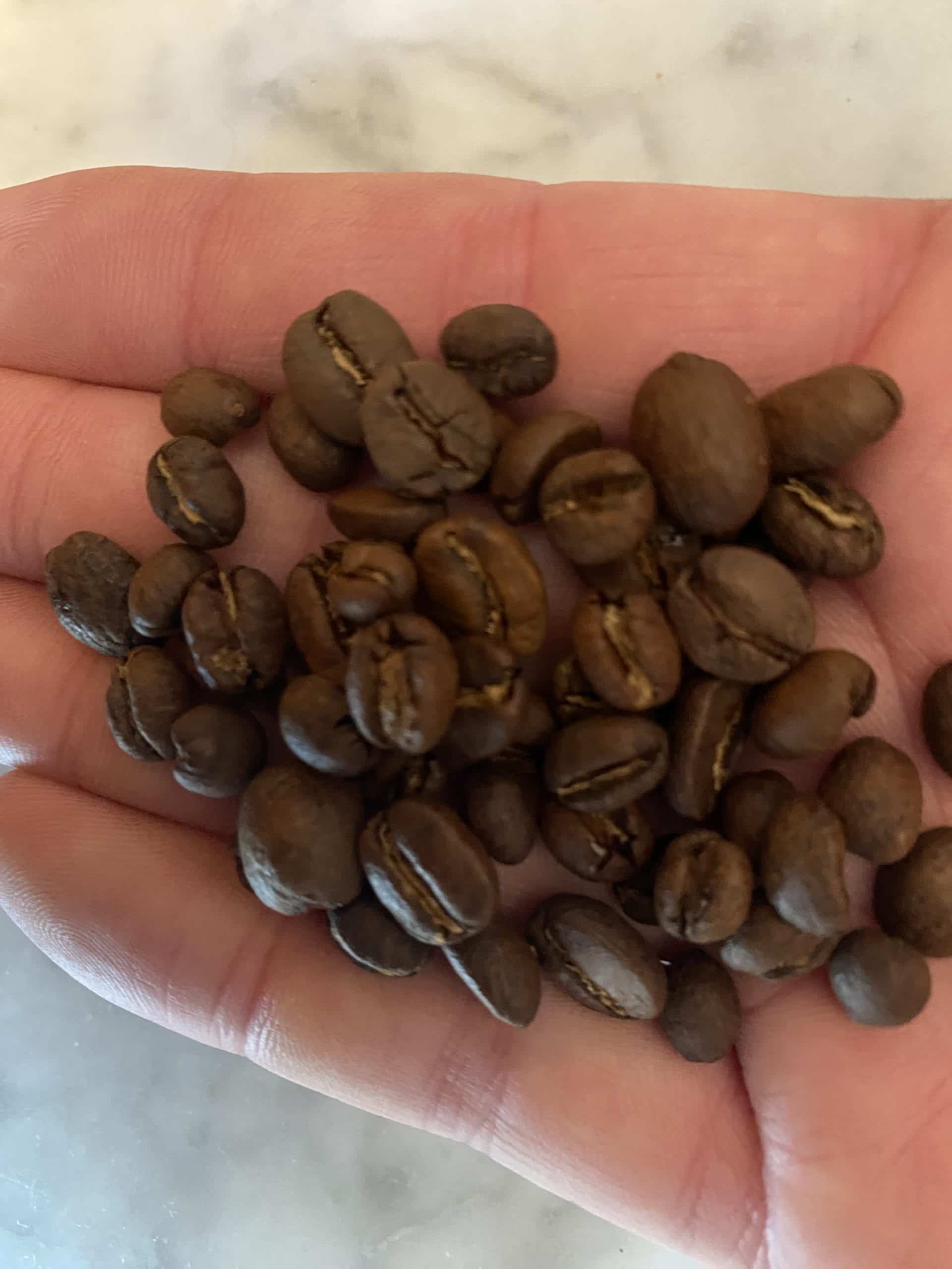 Archipelago Coffee's Rindo Blend coffee beans in palm of hand.